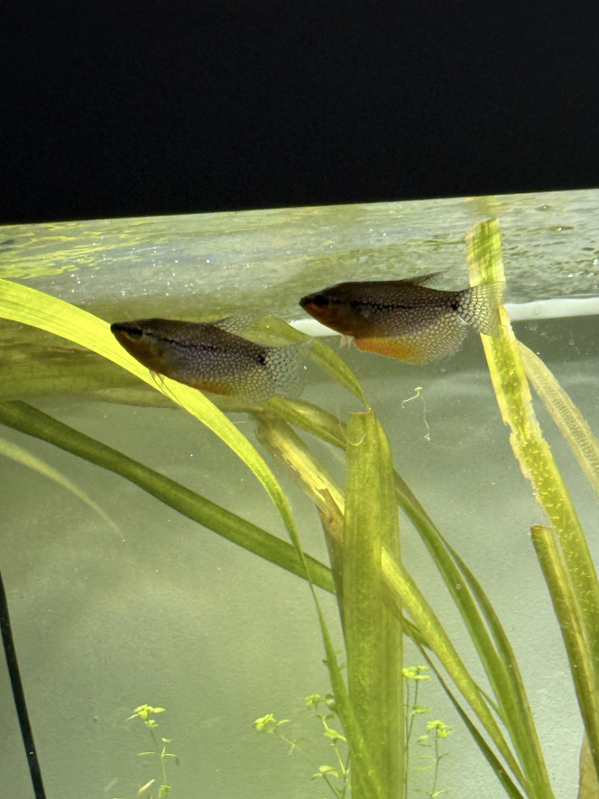 Photographie du post de kevinnn 