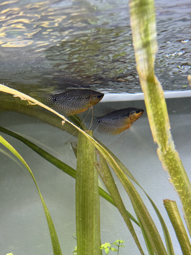 Photographie du post de kevinnn 