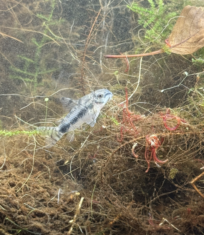 Photographie du post de symboule 