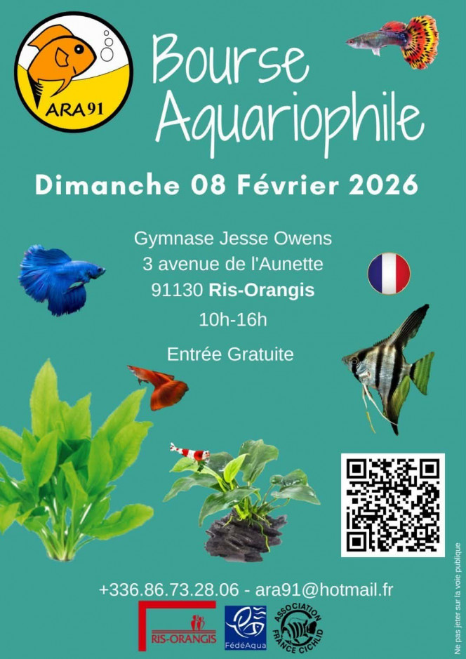 Photographie du post de vv091v 