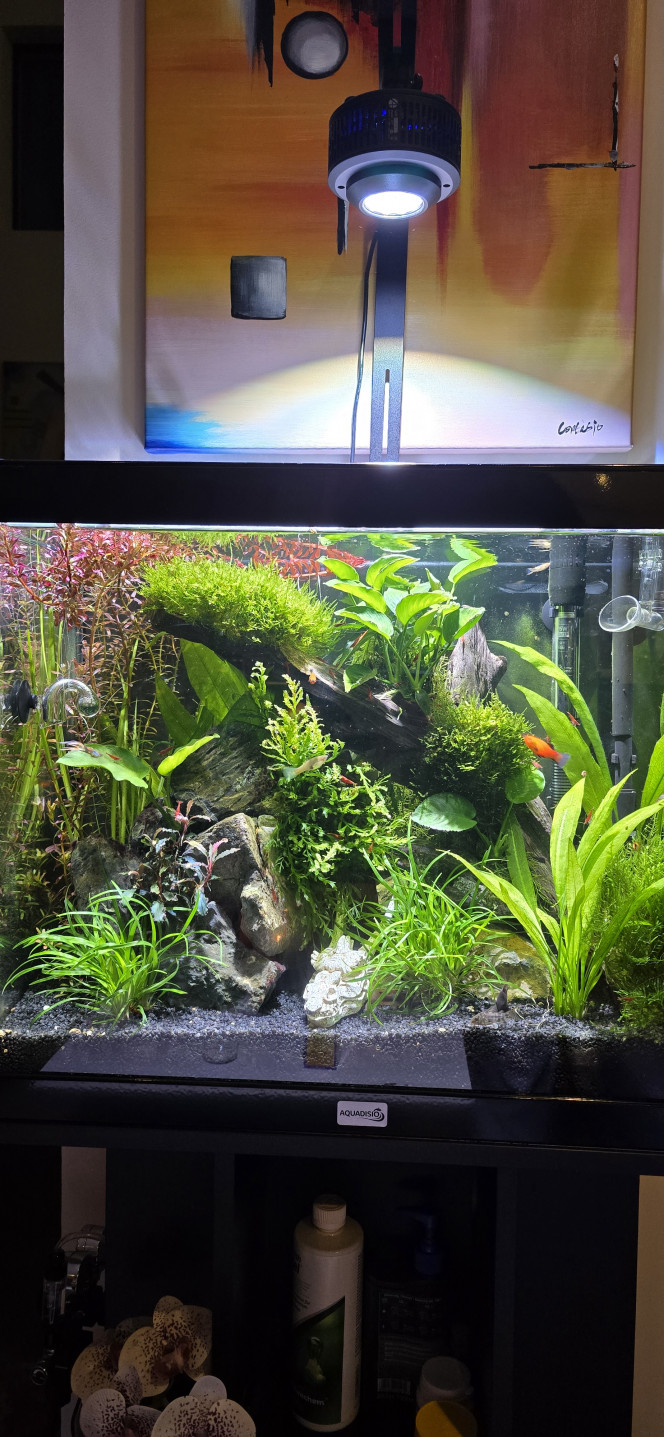 Après une petite taille... 