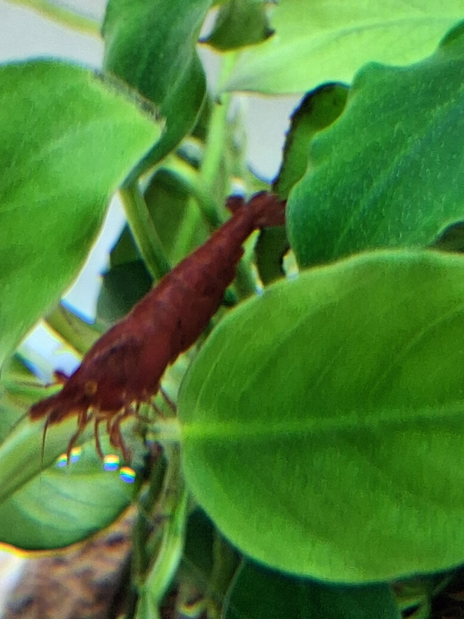 Photographie du post de PORTELLI 