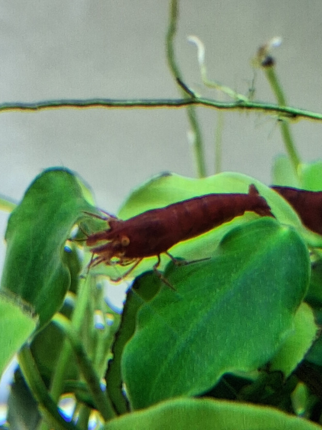 Photographie du post de PORTELLI 