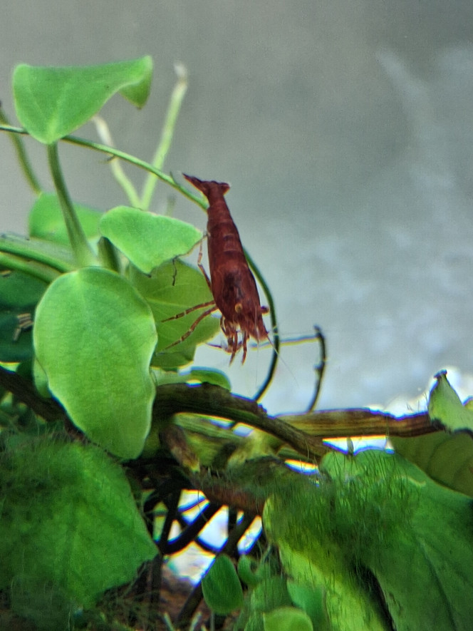 Photographie du post de PORTELLI 