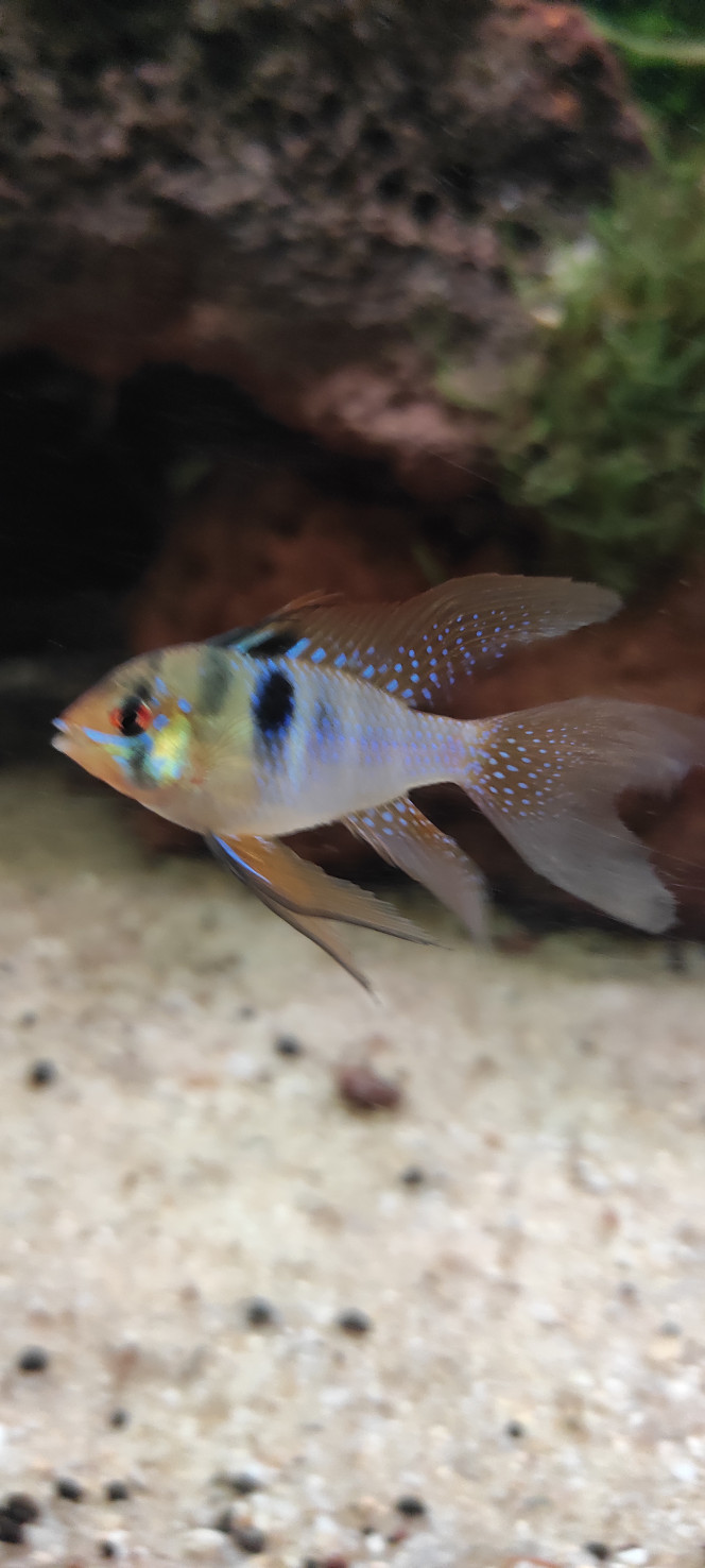 Photographie du post de Menace63 