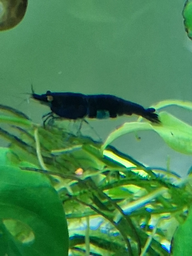 Photographie du post de PORTELLI 