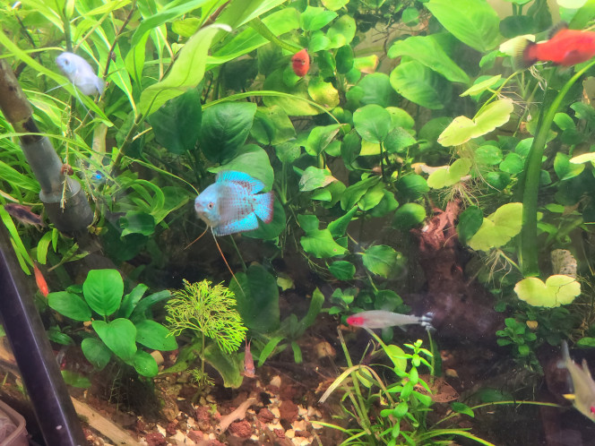 Photographie du post de laurent-galichet 