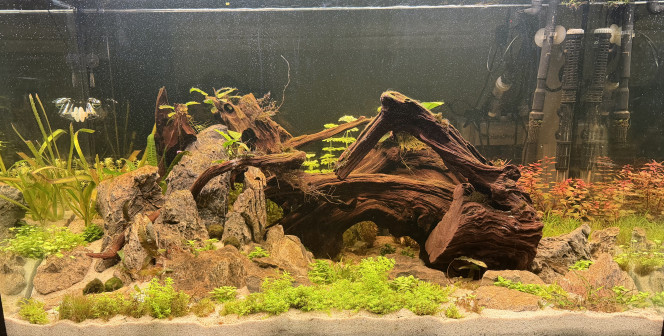 Photographie du post de Thibaut12390 