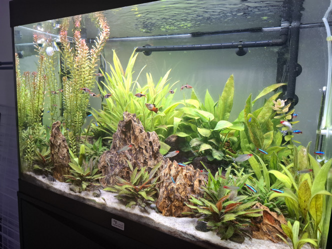 Photographie du post de Guiguidu57 