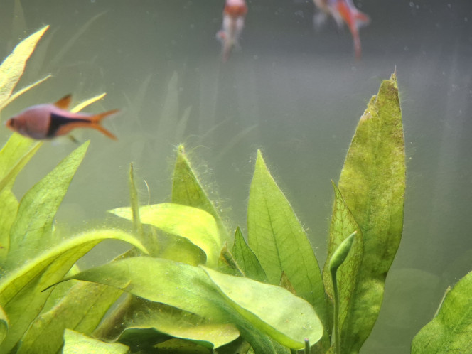 Photographie du post de Guiguidu57 