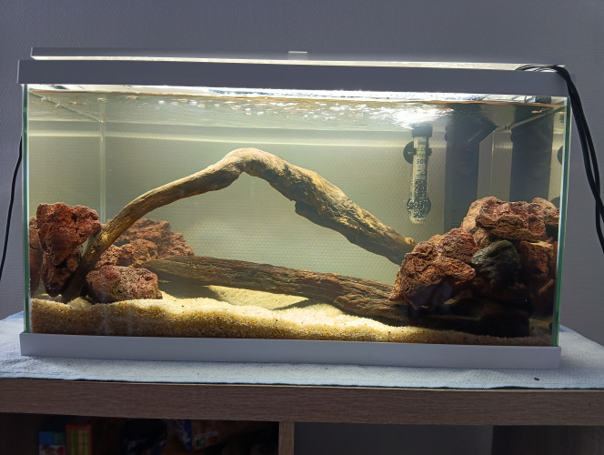  Mise en eau faîte. Bon reste a laissé faire son cycle puis plantation. 
Et introduction de poisson prévu début février.