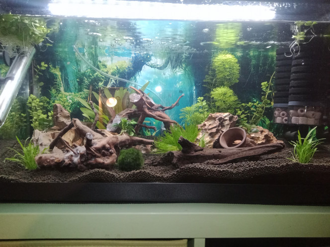 Photographie du post de mardon 