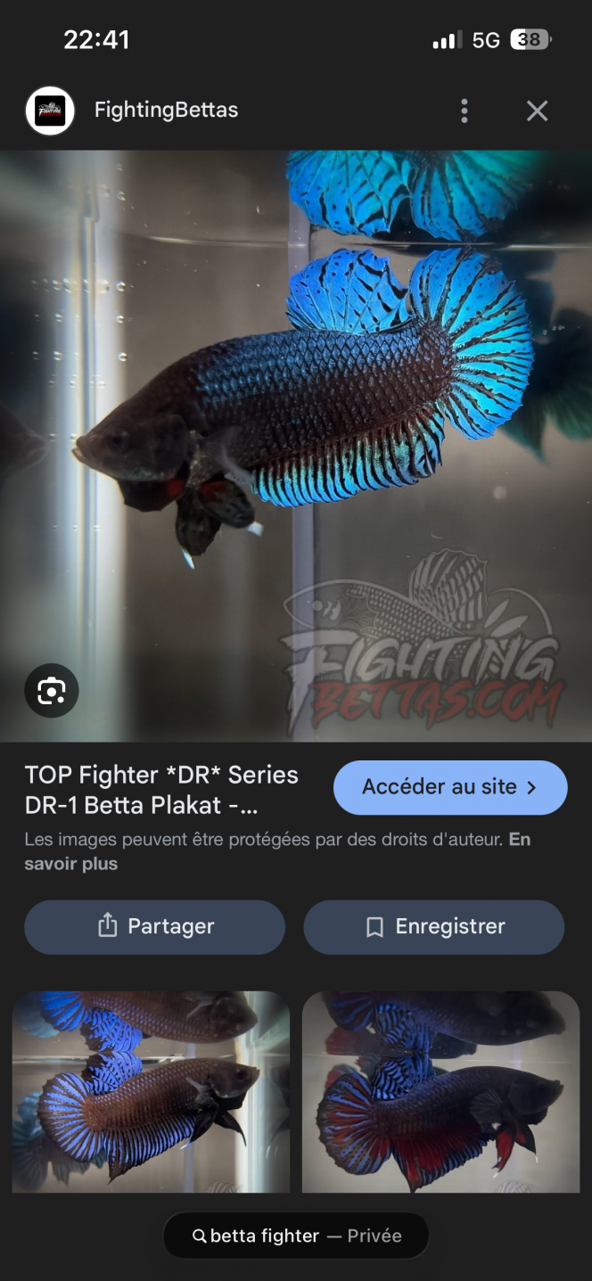 Photographie du post de Koualy30128 