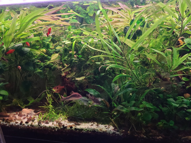 Photographie du post de laurent-galichet 