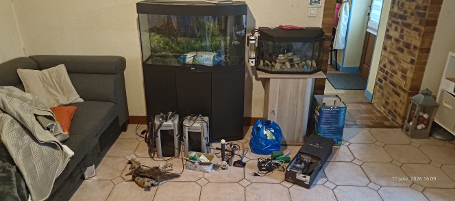 Photographie du post de Ffarfadet 