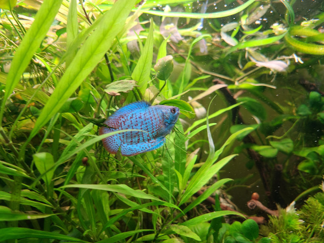 Photographie du post de laurent-galichet 