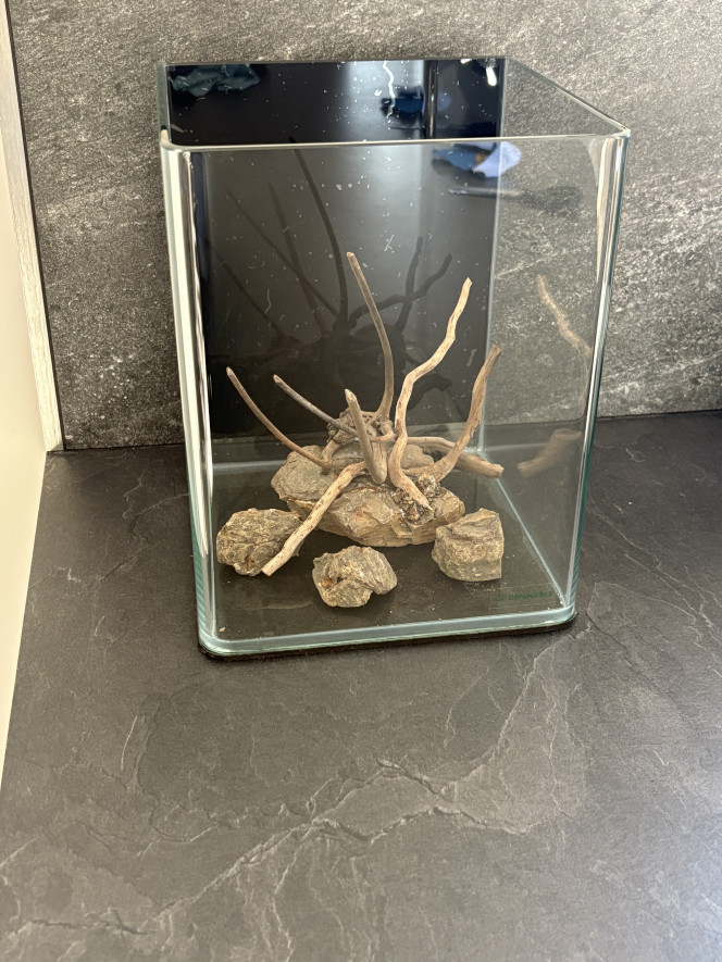 Photographie du post de Olivoliv 