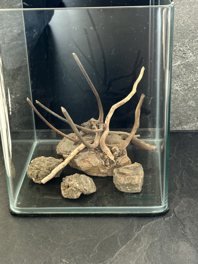 Photographie du post de Olivoliv 