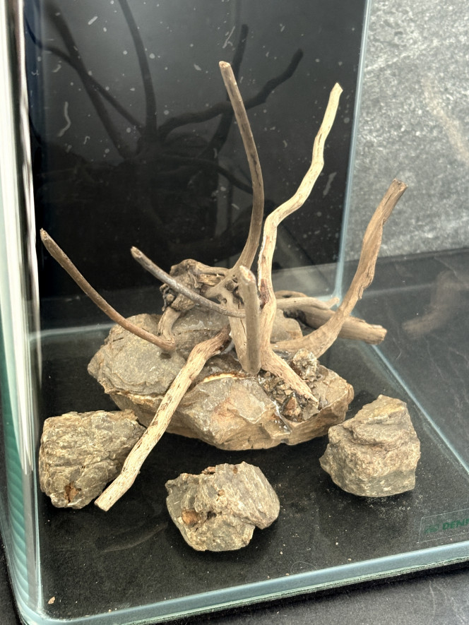 Photographie du post de Olivoliv 