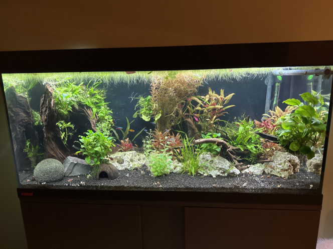 Photographie du post de Mano14 