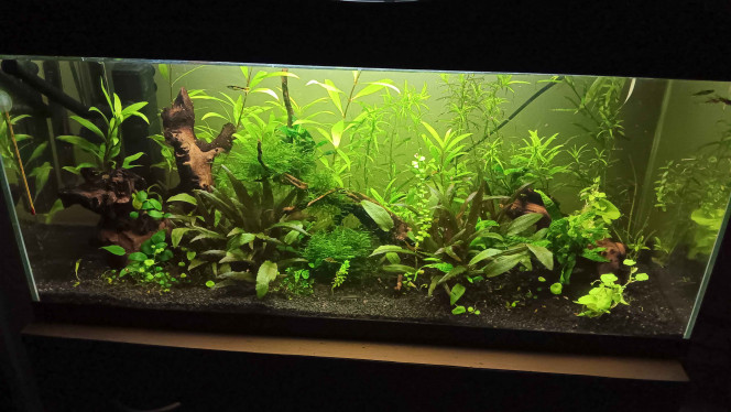 Photographie du post de Gorthak 