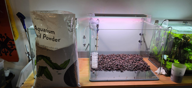 Préparation Voilà une petite photo du 70 L qui est en préparation. Rien de grand-chose à dire, vu que le hardscape n’en est pas vraiment un : c’est plus une préparation de sol, puisque c’est un bac hollandais.
Il n’y a donc rien de très spectaculaire : de la pouzzolane au fond pour faire monter le niveau à l’arrière, puis 3 cm d’Aquasoil Powder de chez Tropica, ce qui nous donne environ 5 cm à l’arrière et 3 cm à l’avant, ce qui est largement suffisant dans un aquarium hollandais.
Je ne vais pas utiliser d’Aquasoil classique, vu que mes demandes vont être fortes au niveau des plantes. J’ai donc opté pour un sol technique un peu plus enrichi.
J’ai déjà délimité mon parcours de plantes, mais cela risque d’être modifié par la suite, au moment de la plantation. J’ai juste un peu l’impression d’avoir trop de surface basse et pas assez de hauteur.
J’hésite aussi à le démarrer en dry start pendant une semaine pour que ma Cuba puisse bien s’enraciner, vu que je l’ai déjà et que j’attends le reste de mes plantes. Je pourrais très bien le faire maintenant, mais pour le moment ça restera comme ça.