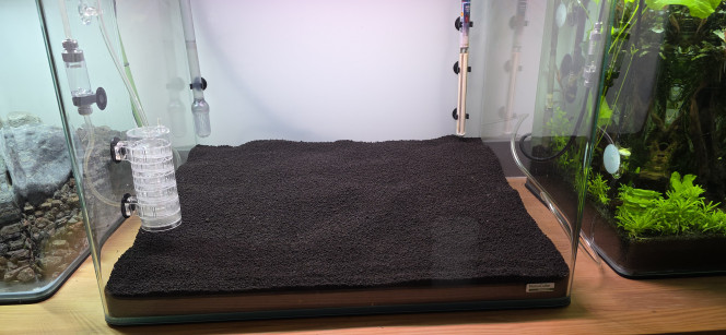 Préparation Voilà une petite photo du 70 L qui est en préparation. Rien de grand-chose à dire, vu que le hardscape n’en est pas vraiment un : c’est plus une préparation de sol, puisque c’est un bac hollandais.
Il n’y a donc rien de très spectaculaire : de la pouzzolane au fond pour faire monter le niveau à l’arrière, puis 3 cm d’Aquasoil Powder de chez Tropica, ce qui nous donne environ 5 cm à l’arrière et 3 cm à l’avant, ce qui est largement suffisant dans un aquarium hollandais.
Je ne vais pas utiliser d’Aquasoil classique, vu que mes demandes vont être fortes au niveau des plantes. J’ai donc opté pour un sol technique un peu plus enrichi.
J’ai déjà délimité mon parcours de plantes, mais cela risque d’être modifié par la suite, au moment de la plantation. J’ai juste un peu l’impression d’avoir trop de surface basse et pas assez de hauteur.
J’hésite aussi à le démarrer en dry start pendant une semaine pour que ma Cuba puisse bien s’enraciner, vu que je l’ai déjà et que j’attends le reste de mes plantes. Je pourrais très bien le faire maintenant, mais pour le moment ça restera comme ça.