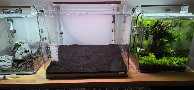 Préparation Voilà une petite photo du 70 L qui est en préparation. Rien de grand-chose à dire, vu que le hardscape n’en est pas vraiment un : c’est plus une préparation de sol, puisque c’est un bac hollandais.
Il n’y a donc rien de très spectaculaire : de la pouzzolane au fond pour faire monter le niveau à l’arrière, puis 3 cm d’Aquasoil Powder de chez Tropica, ce qui nous donne environ 5 cm à l’arrière et 3 cm à l’avant, ce qui est largement suffisant dans un aquarium hollandais.
Je ne vais pas utiliser d’Aquasoil classique, vu que mes demandes vont être fortes au niveau des plantes. J’ai donc opté pour un sol technique un peu plus enrichi.
J’ai déjà délimité mon parcours de plantes, mais cela risque d’être modifié par la suite, au moment de la plantation. J’ai juste un peu l’impression d’avoir trop de surface basse et pas assez de hauteur.
J’hésite aussi à le démarrer en dry start pendant une semaine pour que ma Cuba puisse bien s’enraciner, vu que je l’ai déjà et que j’attends le reste de mes plantes. Je pourrais très bien le faire maintenant, mais pour le moment ça restera comme ça.