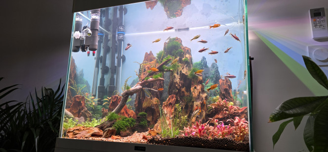 Photographie du post de Yannick66 