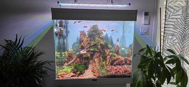 Photographie du post de Yannick66 