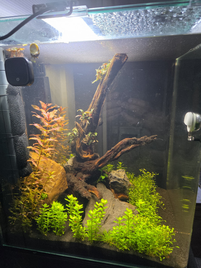 vue de gauche un mois après la mise en eau