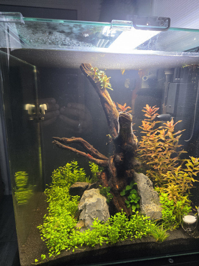 Vue de droite un mois après la mise en eau