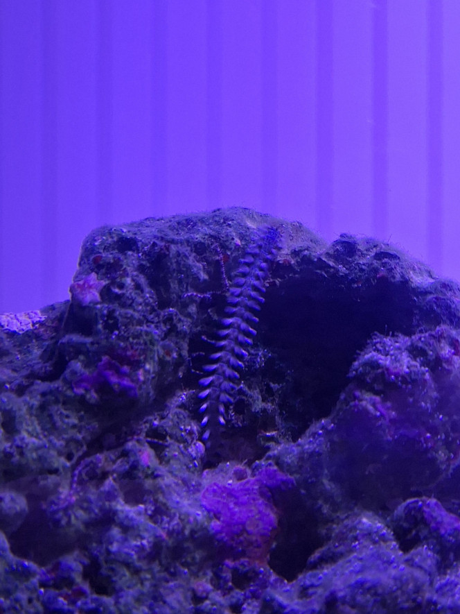 Photographie du post de Evaelorac 