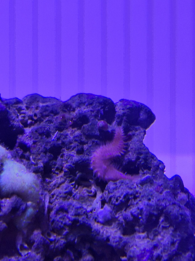 Photographie du post de Evaelorac 