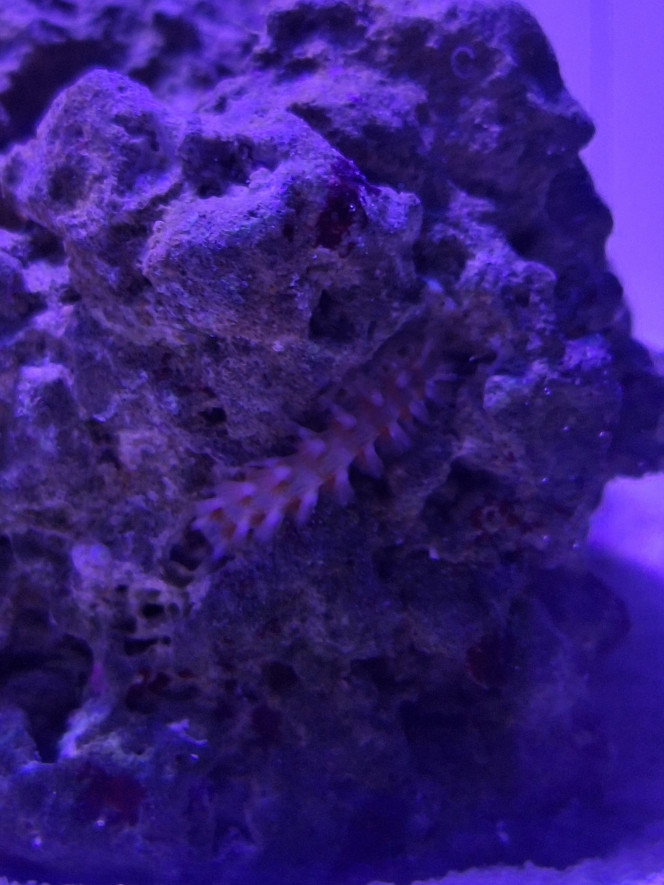 Photographie du post de Evaelorac 