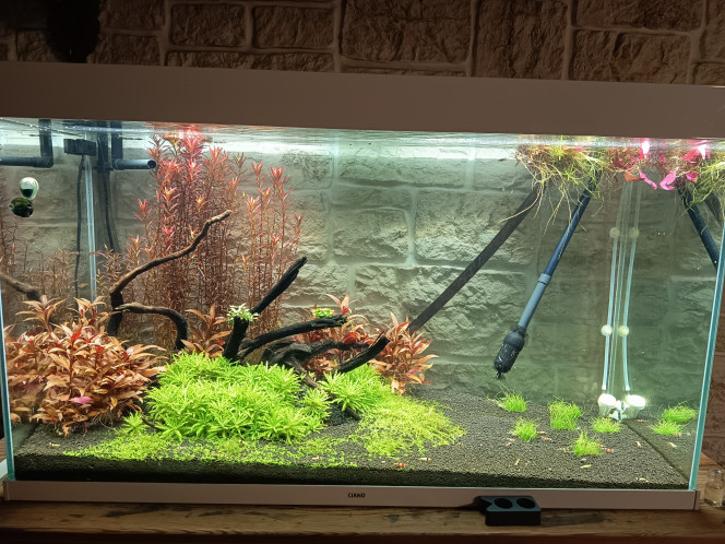 Photographie du post de Kev7 