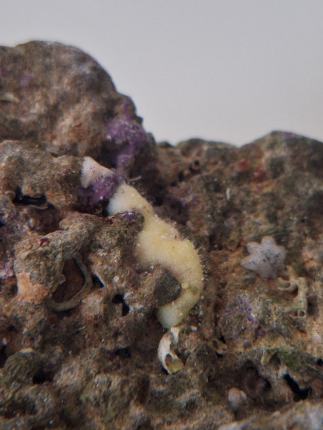 Photographie du post de Evaelorac 