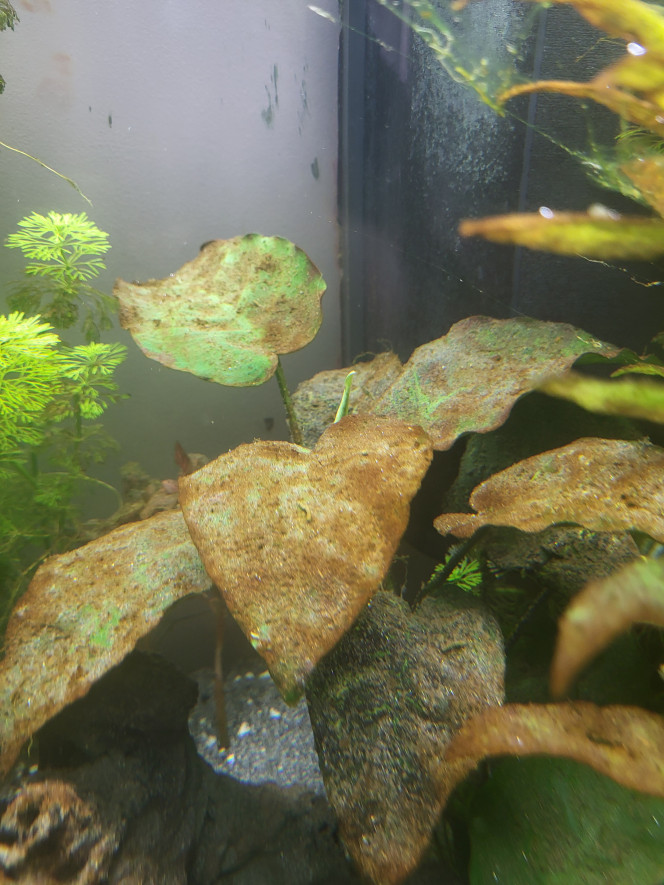 Photographie du post de Carrow31 