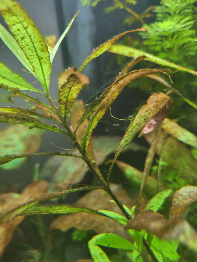 Photographie du post de Carrow31 