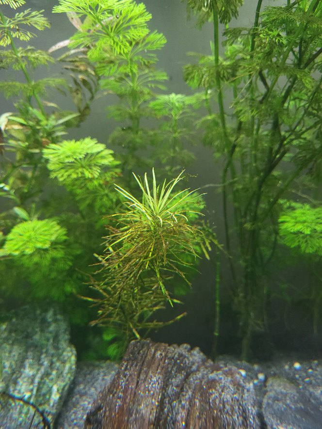 Photographie du post de Carrow31 