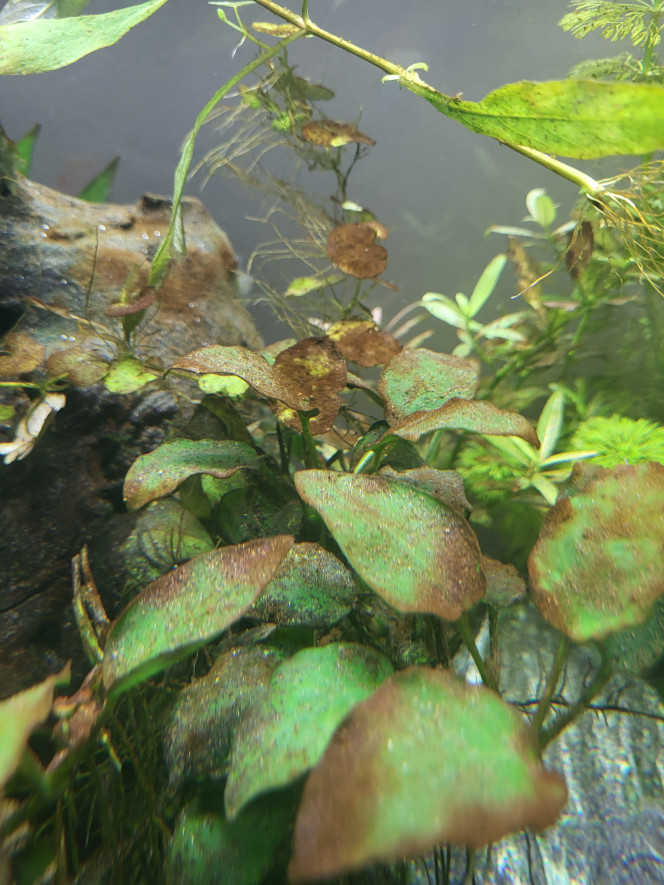 Photographie du post de Carrow31 