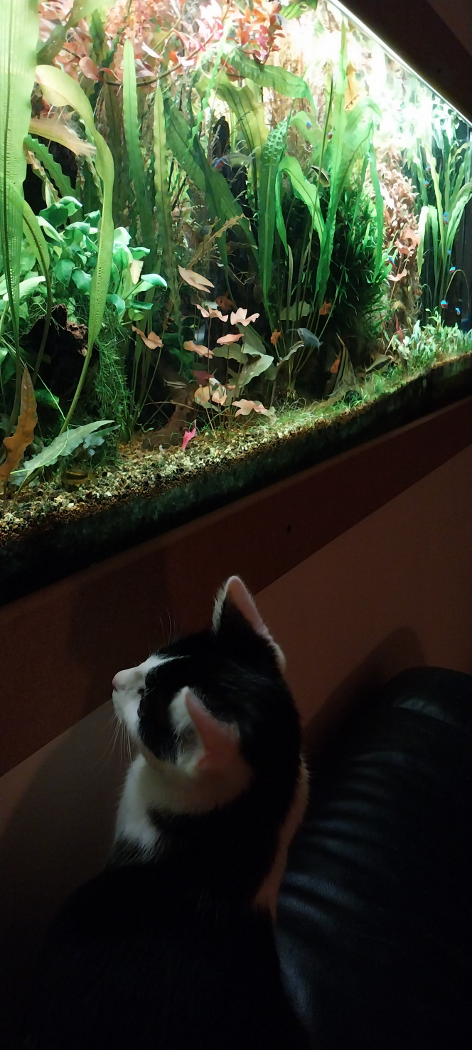 Photographie du post de STK54 