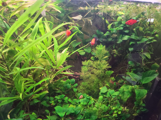 Photographie du post de laurent-galichet 