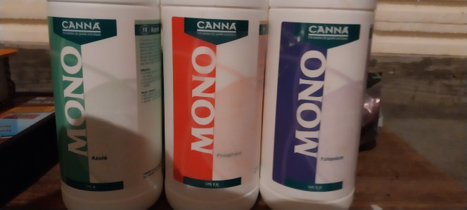 Photographie du post de STK54 