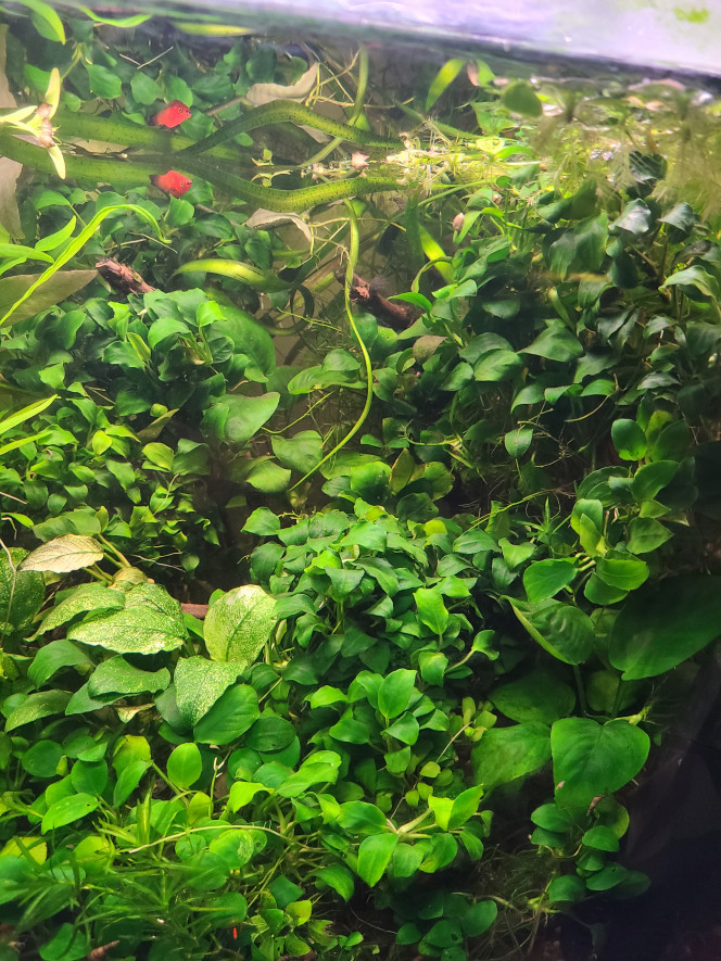 Photographie du post de laurent-galichet 