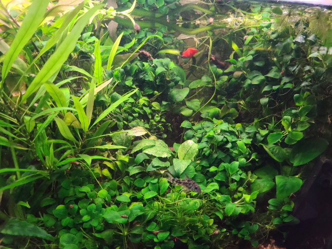 Photographie du post de laurent-galichet 