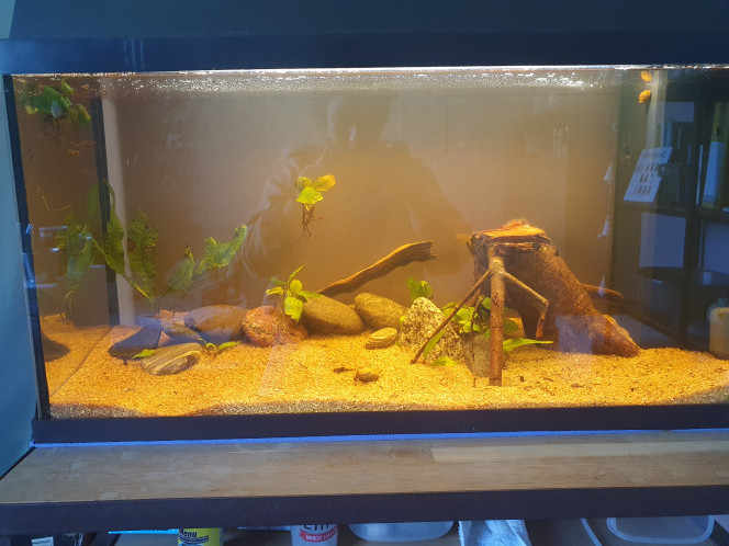 Photographie du post de AQUA_pink 