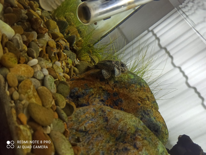 Photographie du post de Yoannikko 