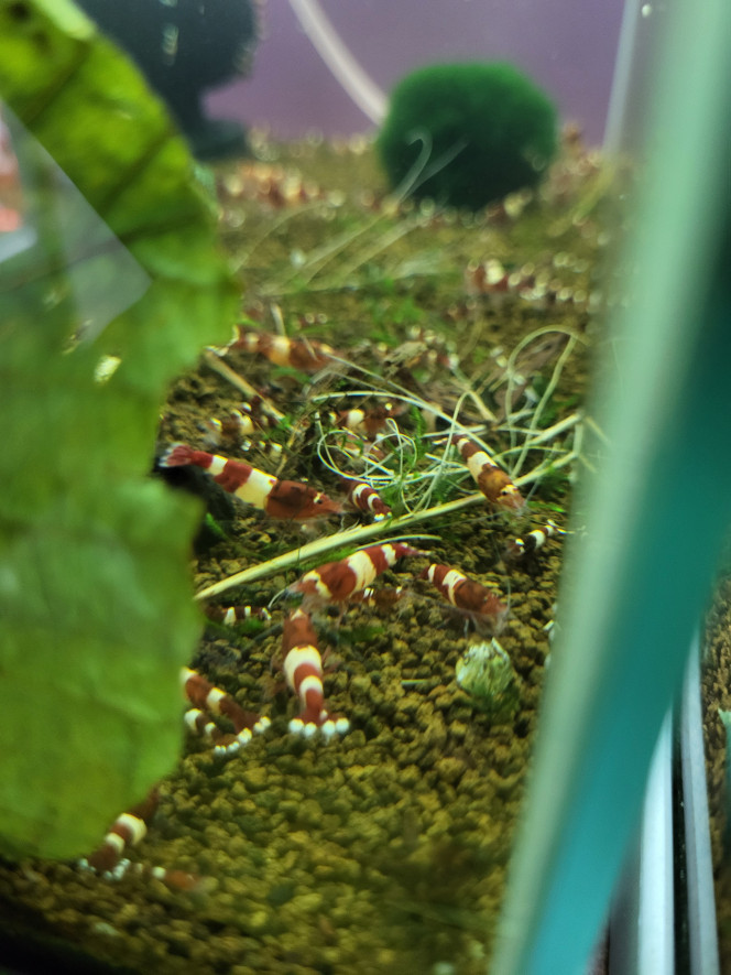 Photographie du post de Tedd80 