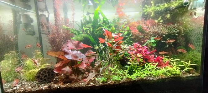 Photographie du post de Olivier1977 